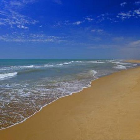 Mas Illa De Riu - Autentica Masia Del Delta Del Ebro Con Capacidad Para 20 Personas - Deltavacaciones Sant Jaume d’Enveja Exterior foto