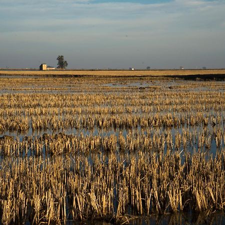 Mas Illa De Riu - Autentica Masia Del Delta Del Ebro Con Capacidad Para 20 Personas - Deltavacaciones Sant Jaume d’Enveja Exterior foto