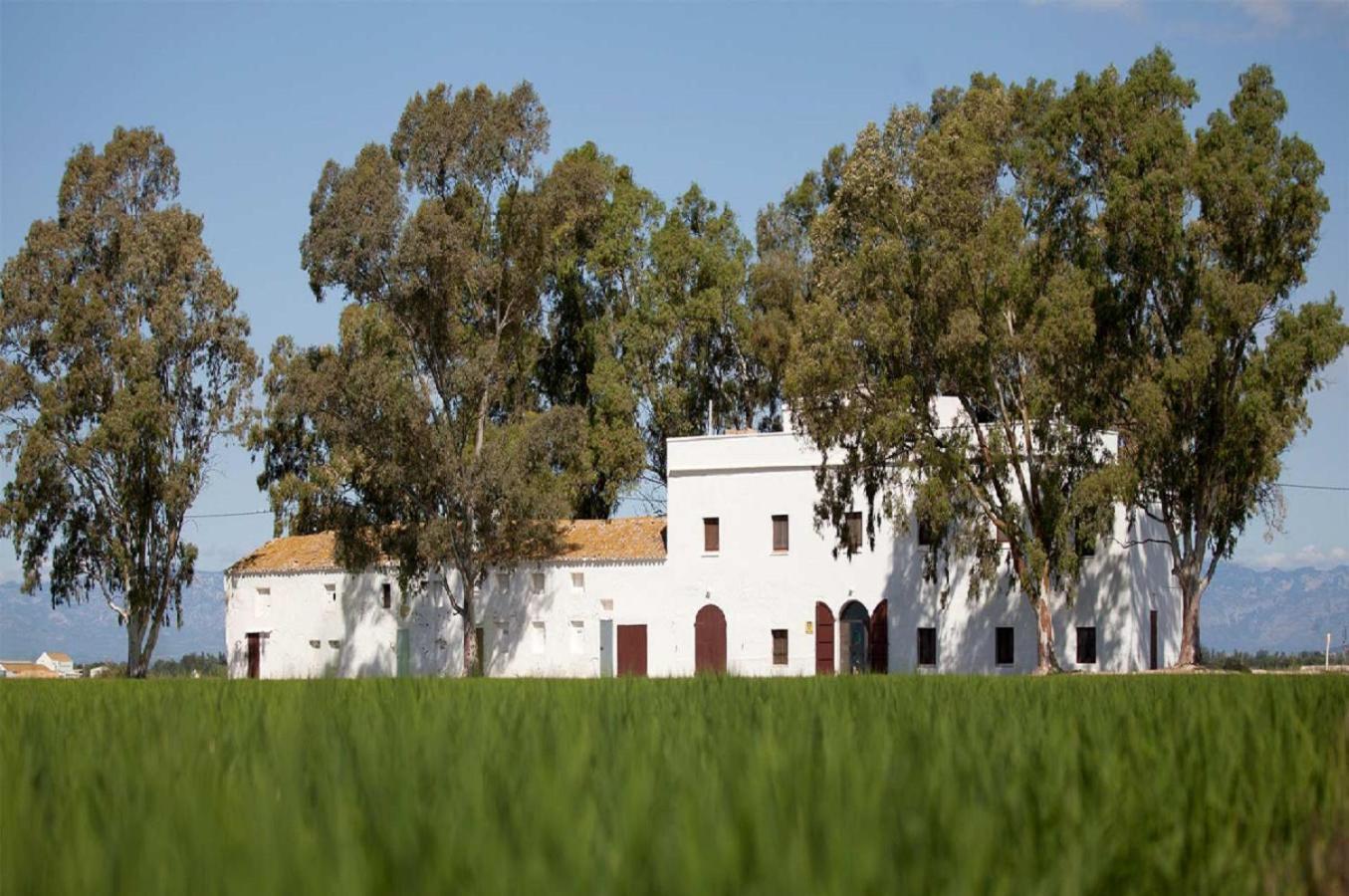 Mas Illa De Riu - Autentica Masia Del Delta Del Ebro Con Capacidad Para 20 Personas - Deltavacaciones Sant Jaume d’Enveja Exterior foto