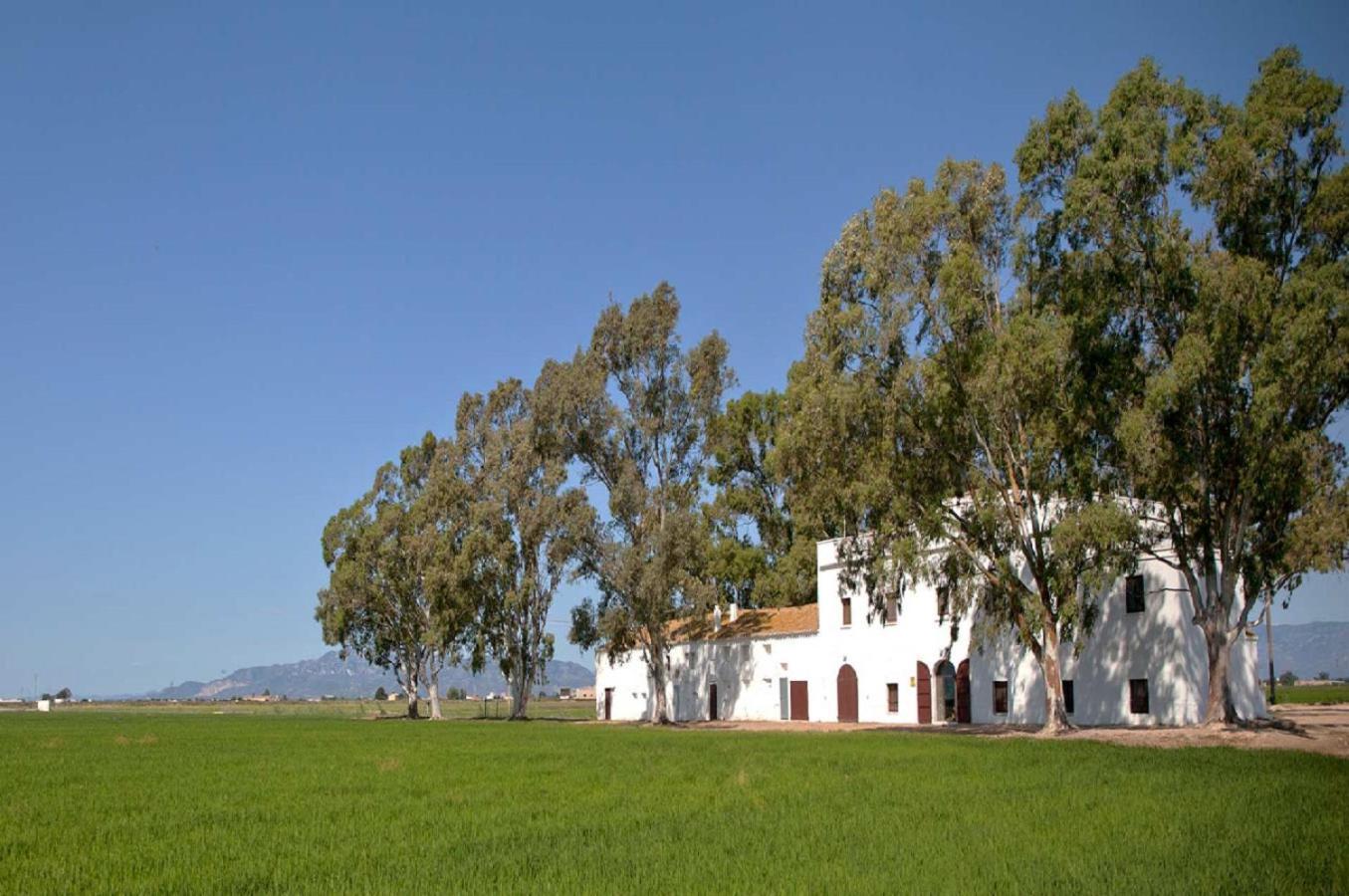 Mas Illa De Riu - Autentica Masia Del Delta Del Ebro Con Capacidad Para 20 Personas - Deltavacaciones Sant Jaume d’Enveja Exterior foto