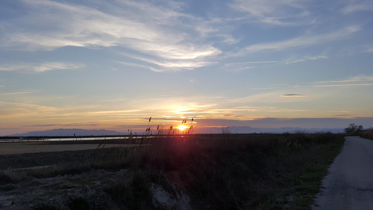 Mas Illa De Riu - Autentica Masia Del Delta Del Ebro Con Capacidad Para 20 Personas - Deltavacaciones Sant Jaume d’Enveja Exterior foto