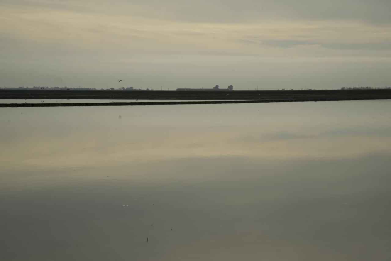 Mas Illa De Riu - Autentica Masia Del Delta Del Ebro Con Capacidad Para 20 Personas - Deltavacaciones Sant Jaume d’Enveja Exterior foto