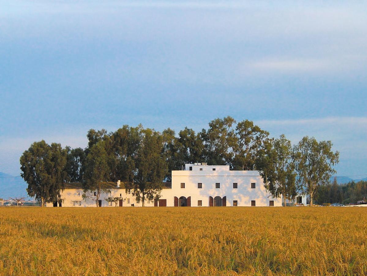Mas Illa De Riu - Autentica Masia Del Delta Del Ebro Con Capacidad Para 20 Personas - Deltavacaciones Sant Jaume d’Enveja Exterior foto