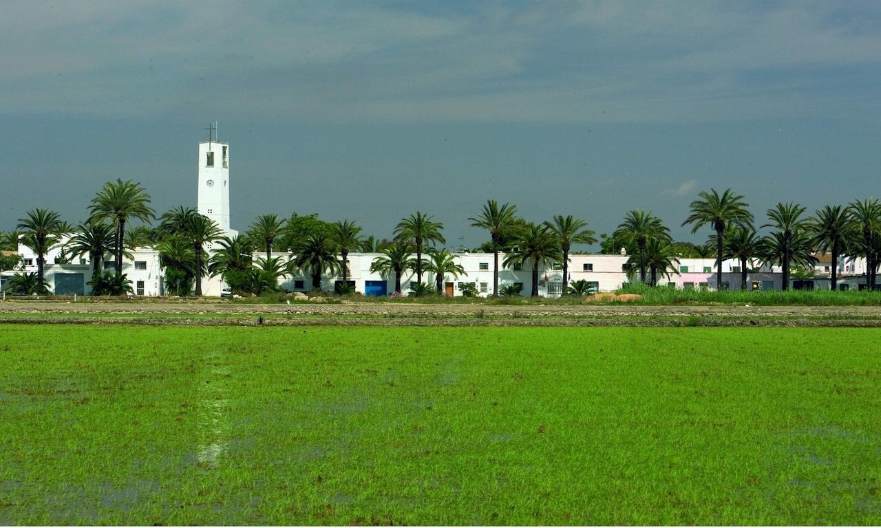 Mas Illa De Riu - Autentica Masia Del Delta Del Ebro Con Capacidad Para 20 Personas - Deltavacaciones Sant Jaume d’Enveja Exterior foto