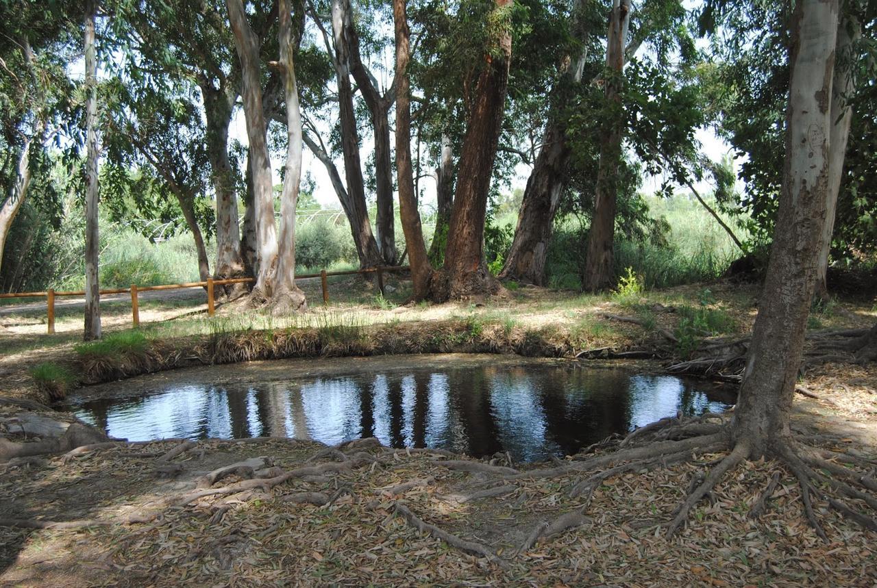 Mas Illa De Riu - Autentica Masia Del Delta Del Ebro Con Capacidad Para 20 Personas - Deltavacaciones Sant Jaume d’Enveja Exterior foto