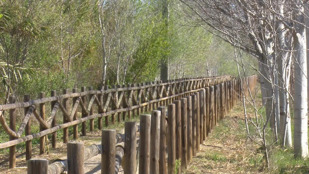 Mas Illa De Riu - Autentica Masia Del Delta Del Ebro Con Capacidad Para 20 Personas - Deltavacaciones Sant Jaume d’Enveja Exterior foto